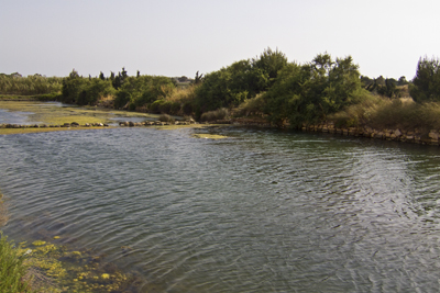 Marsaskala_view